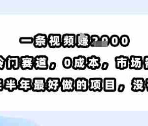 一条视频挣1k，小众冷门赛道，0成本，市场需求大，是未来半年最好做的项目，没有之一
