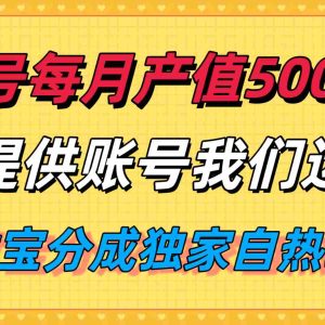 单月产值5000+，支付宝分成代运营，你提供账号坐等分钱，我们帮你运营