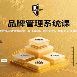 品牌管理系统课：战略定位与消费者洞察，DTC案例、资产评估，增长与公关体系搭建