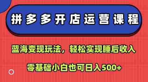 拼多多开店运营课程:蓝海变现玩法,轻松实现睡后收入,零基础小白也可日入5张