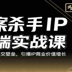 文案杀手IP高端实战课：破高客单成交壁垒，引爆IP商业价值增长