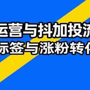 流量运营与抖加投流秘笈，含算法解析、爆款打造、精准标签与涨粉转化技巧
