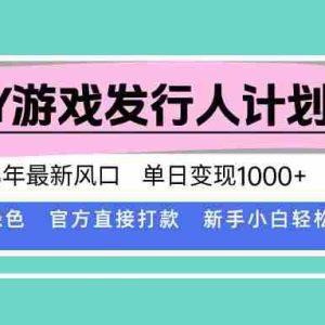 （15812期）DY小游戏发行人计划，25年最新风口，单日变现1000+，官方 直接打款，新…