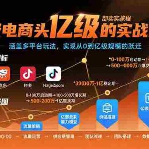 （15803期）亿级电商头部卖家的实战课程：涵盖多平台玩法，实现从0到亿级规模的跃迁