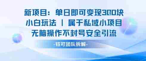 新项目单日即可变现3张的小白玩法无脑操作不封号安全引流