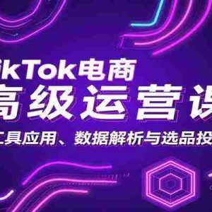 TikTok电商高级运营课：AI工具应用、数据解析与选品投流攻略