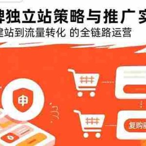 （15818期）DTC品牌独立站策略与推广实战指南，系统讲解从建站到流量转化的全链路运营
