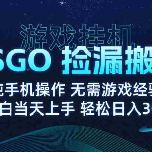 （15820期）8月最新游戏搬砖，CSGO纯挂机，不需要玩游戏，实现真挂机，月入1W+