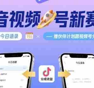 抖音视频号新赛道今日话题今日语录，撸伙伴计划跟视频号分成