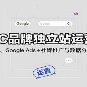 DTC品牌独立站运营课：建站优化、Google Ads + 社媒推广与数据分析全攻略