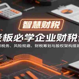 老板必学企业财税课：智慧税务、风险规避、财税筹划与股权架构搭建指南
