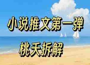 小说推文项目操作全流程第一弹，0粉就能做，门槛低非常适合新手