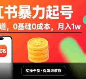 小红书暴力起号，小众赛道，0基础0成本，月入1w