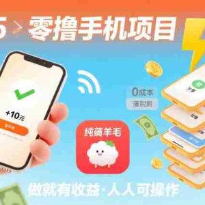 2025年零撸手机项目，二十秒一单，纯薅羊毛 一天2张+做就有