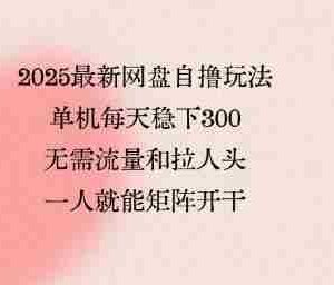 2025最新网盘自撸玩法，单机每天稳下3张，无需流量和拉人头，一个人就可轻松矩阵，全网独一份【揭秘】