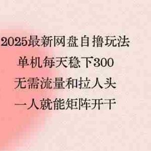 （15831期）2025最新网盘自撸玩法，单机每天稳下3张，无需流量和拉人头，一个人就…