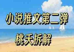 小说推文项目操作全流程第二弹，0粉就能做，门槛低非常适合新手