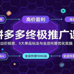 拼多多终极推广课：出价投放、5大单品玩法与全店托管优化实操
