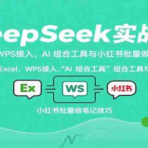 DeepSeek实战课：Excel、WPS接入、AI 组合工具与小红书批量做笔记技巧