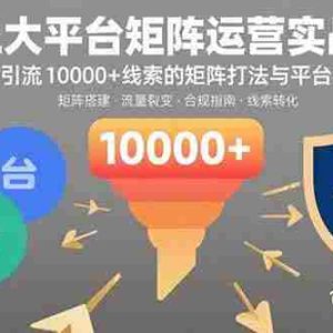 （15841期）三大平台矩阵运营实战：掌握月引流10000+线索的矩阵打法与平台合规策略
