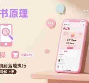 小红书原理以及详细实操流程，小红书电商教程