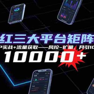 抖快红三大平台矩阵运营，12小时SOP实战+流量获取-风控-扩量，月引10000+线索