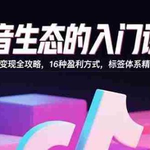 （15856期）抖音生态的入门课程：流量变现全攻略，16种盈利方式，标签体系精准定位