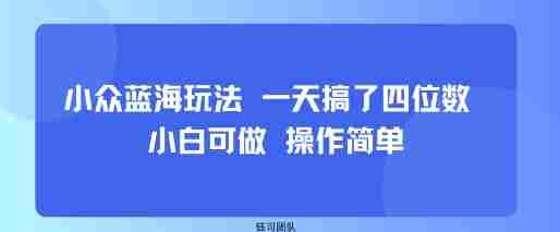 小众蓝海玩法 一天搞了四位数 小白可做 操作简单
