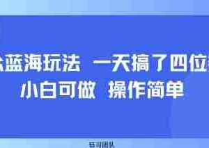 小众蓝海玩法 一天搞了四位数 小白可做 操作简单