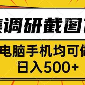 （15868期）采集，调研，截图任务，电脑手机均可做，日入500+