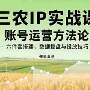 （15864期）三农IP实战课：账号运营方法论，六件套搭建，数据复盘与投放技巧