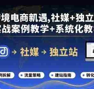跨境电商新机遇，社媒+独立站，实战案例教学+系统化教学