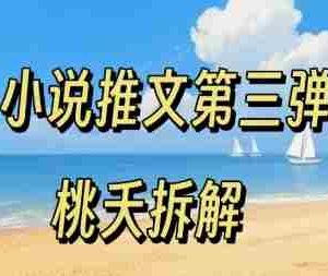 小说推文项目操作全流程第三弹，0粉就能做，门槛低非常适合新手