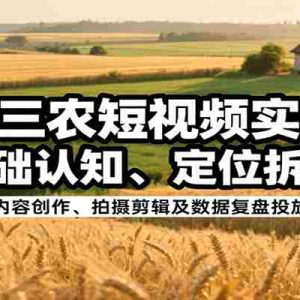 抖音三农短视频实操课：从基础认知、定位拆解到内容创作、拍摄剪辑及数据复盘投放