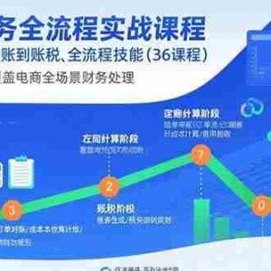 （15883期）电商财务全流程实战课程：快速掌握从建账到报税的全流程技能（36节课）