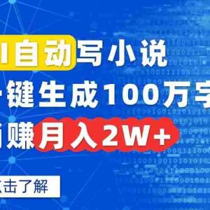 （15912期）AI自动写小说，一键生成100万字，躺赚月入2W+