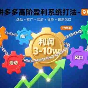 （15916期）拼多多高阶盈利系统打法-9月：选品+推广+活动+诊断+最新风口，月利润3-10w