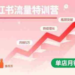 （15936期）小红书流量特训营：突破流量瓶颈，实现店铺持续增长，单店月销5万实战