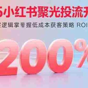 （15942期）2025小红书聚光投流升级版 从投流底层逻辑掌握低成本获客策略 ROI提升200%