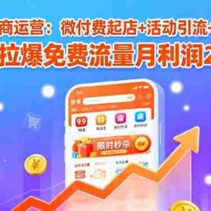 （15960期）拼多多电商运营：微付费起店+活动引流+爆款打造 7天拉爆免费流量月利润2w+