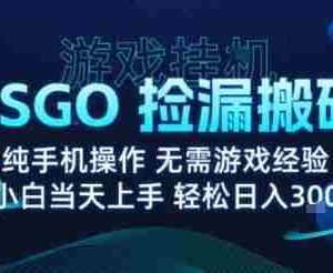 8月最新游戏搬砖，CSGO纯挂G，不需要玩游戏，实现真挂G，月入1W+【揭秘】