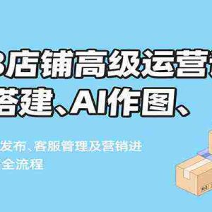 1688店铺高级运营课，定位搭建、AI作图、商品发布、客服管理及营销进阶等全流程