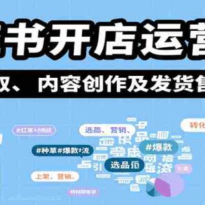 小红书开店运营课：选品、上架、营销、素材获取、内容创作及发货售后等