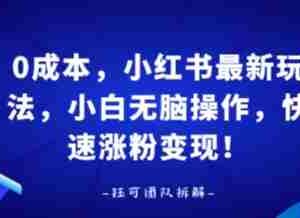 0成本，小红书最新玩法，小白无脑操作，快速涨粉变现