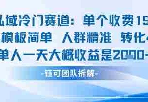 私域冷门赛道单个收费198米引流模板简单人群精准 45%的转化率单人一天大概收益多张