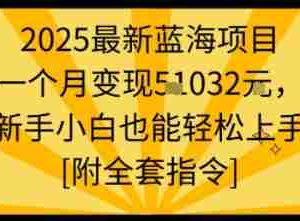 2025最新蓝海项目一个月变现1w+新手小白也能轻松上手【附全套指令】