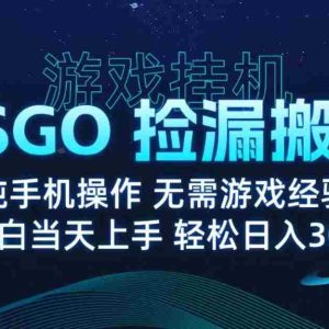 9月最新游戏搬砖，CSGO纯挂机，不需要玩游戏，实现真挂机，月入1W+