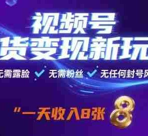 视频号带货变现新玩法，无需露脸，无需粉丝，无任何封号风险，一天收益8张【揭秘】