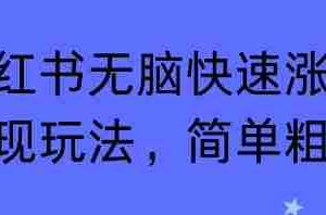 小红书无脑快速涨粉变现玩法，简单粗暴