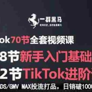TikTok全套视频课，新手入门+进阶课，短视频ADS-GMV MAX投流打品，日销破1000单打法